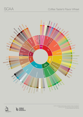 SCA Coffee Taster’s Flavor Wheel