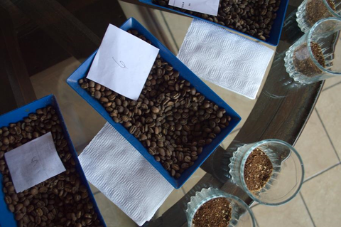 Host a Coffee Tasting