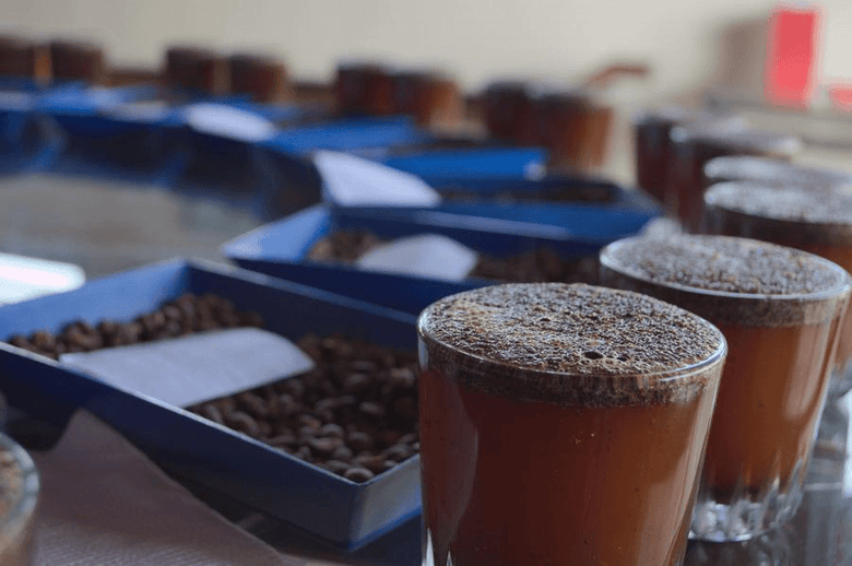 How to Host A Coffee Cupping